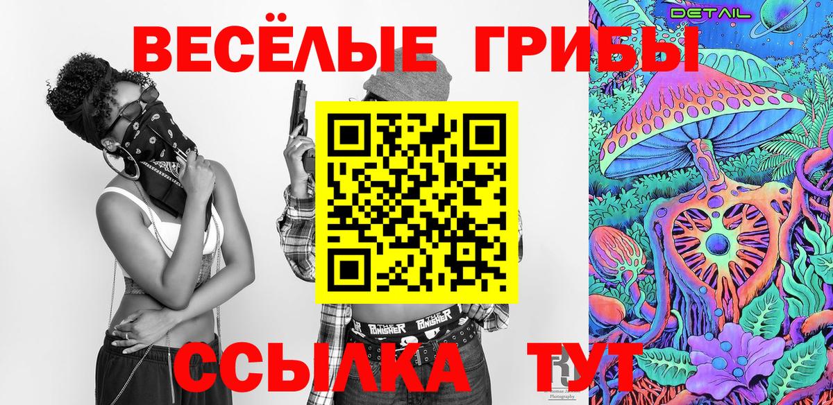 Гулькевичи  наркотики  Псилоцибиновые грибы MAGIC MUSHROOMS  Вход с VPN  Галлюциногенные грибы мухоморы 